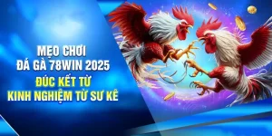 Mẹo Chơi Đá Gà 78WIN 2025 – Bí Kíp Chiến Thắng Từ Cao Thủ Sới Gà
